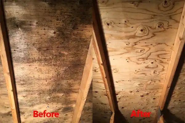water damage restoration service Oakland